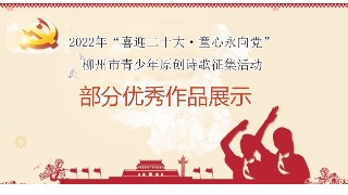 1号直播| 难得一见：南宁柳州桂林书画交流展开幕