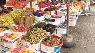 荔枝已上市 但量少价高
夏季水果在市场上成“主角”